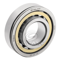 Cylindrical Roller Bearing